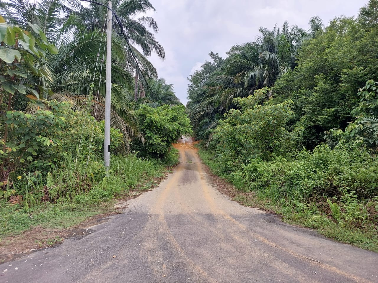 Lot Banglo Bukit Damar Dengkil