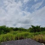 Agriculture land Bukit Cheeding Banting