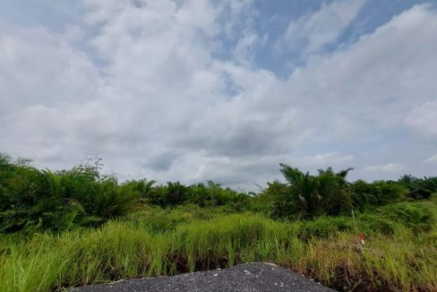 Agriculture land Bukit Cheeding Banting