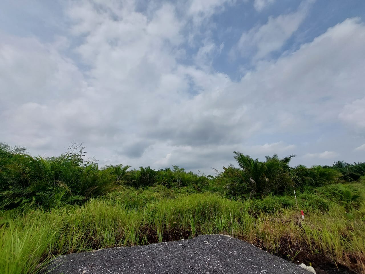 Agriculture land Bukit Cheeding Banting