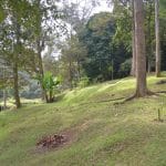 Tanah Kebun Batu 221/2 Kuala Pangson Hulu Langat