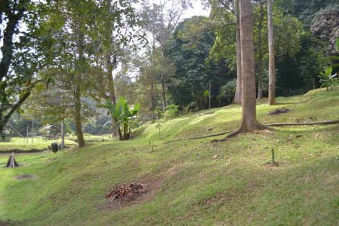 Tanah Kebun Batu 221/2 Kuala Pangson Hulu Langat