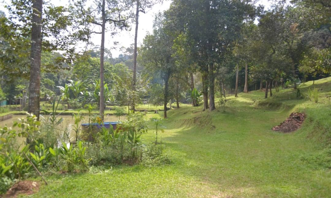 Property Agent / Ejen Hartanah Berdaftar di Pajam