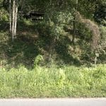Tanah Tepi Jalan Sungai Lui Hulu Langat