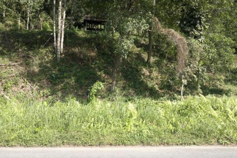 Tanah Tepi Jalan Sungai Lui Hulu Langat