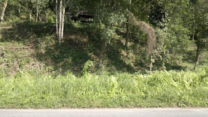 Tanah Jalan Sungai Lui