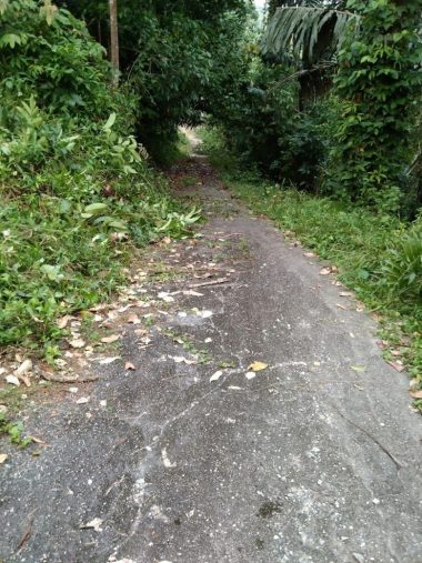 Tanah KualaKlawang Jelebu