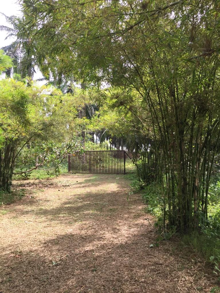 Tanah dusun Linggi Port Dickson