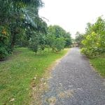 Tanah Kebun Sungai Machang Lenggeng