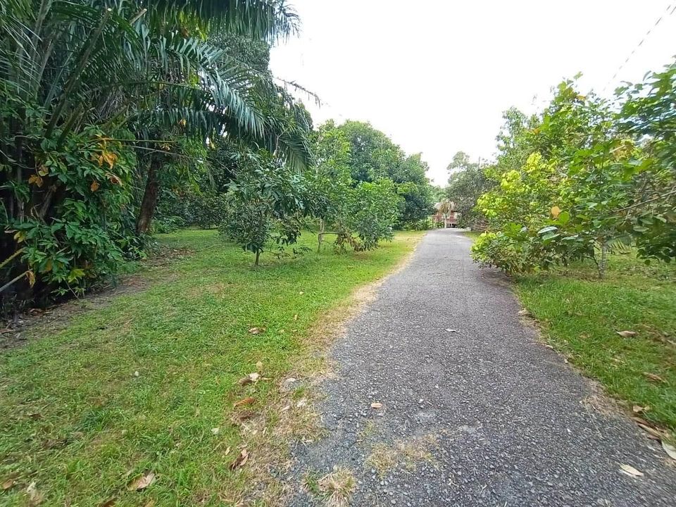 Tanah Kebun Sungai Machang Lenggeng
