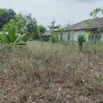 Tanah Tasik Senangin Mahkota Hill Lenggeng