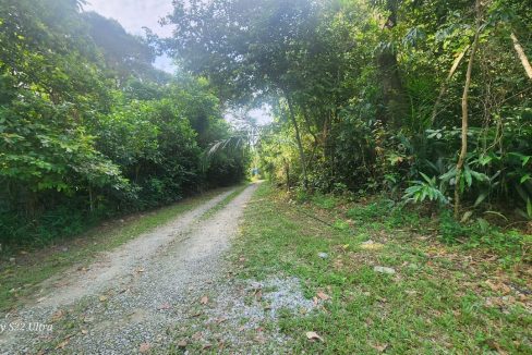 Tanah Dusun Durian Lenggeng