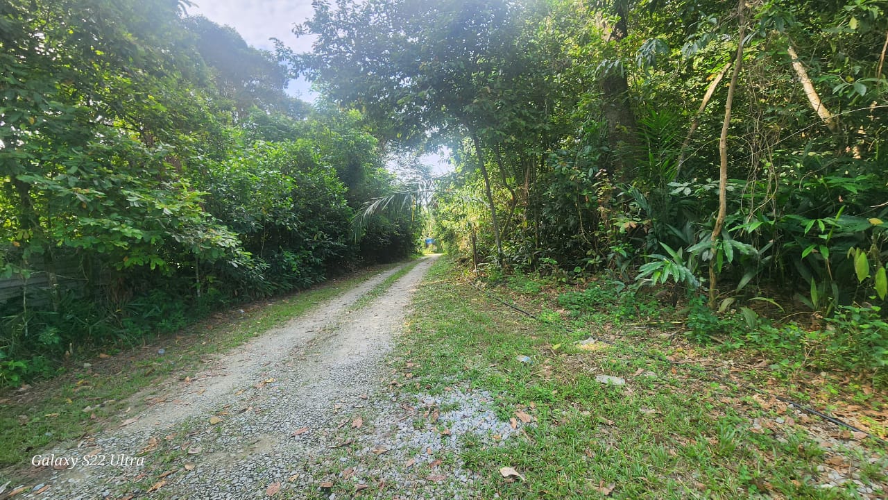 Tanah Dusun Durian Lenggeng