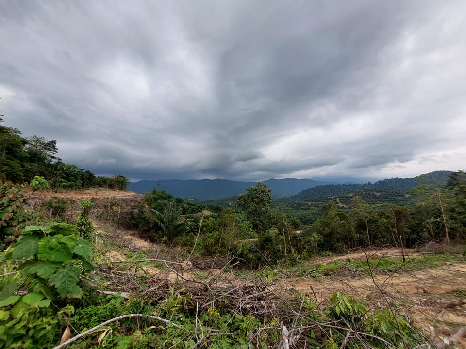 Tanah Pertanian Puncak Bukit Lenggeng