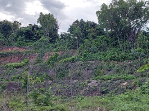 Tanah Bandar Sungai Long