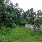 Tanah Kampung Kenanga Rawang