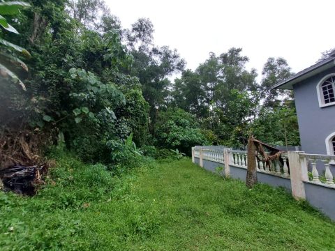 Tanah Kampung Kenanga Rawang