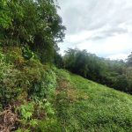 Tanah Hulu Langat Genting Peras