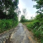 Tanah Sungai Plong Sungai Buloh