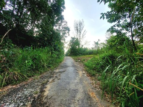 Sungai Plong Sungai Buloh