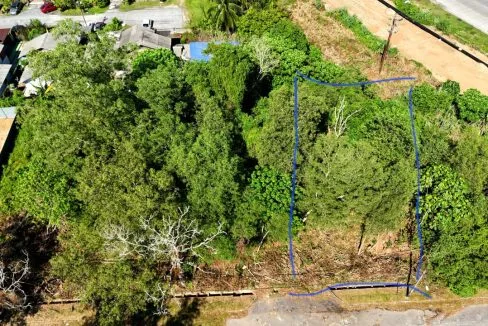 Jalan Kiambang 1 Serendah Hulu Selangor land