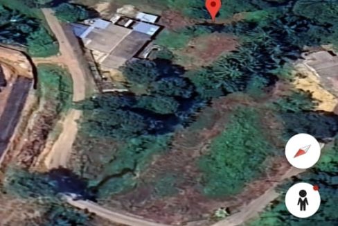 Agriculture land Kundur Rembau Negeri Sembilan