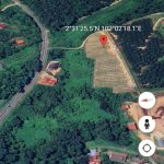 Tanah Pertanian Kundur Rembau Negeri Sembilan