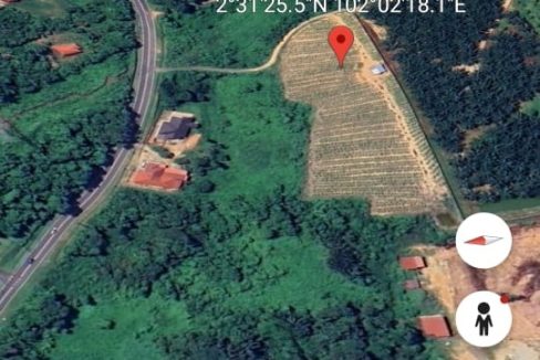 Tanah Pertanian Kundur Rembau Negeri Sembilan