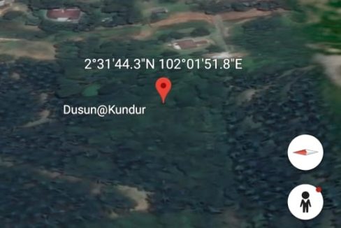 Tanah Dusun Kundur Rembau Negeri Sembilan