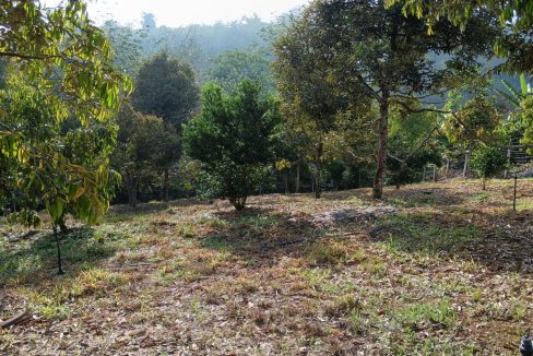 Dusun Durian Jelebu Negeri Sembilan