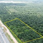 Tanah Pertanian Tanjung Dua Belas Banting Selangor