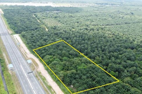 Tanah Pertanian Tanjung Dua Belas Banting Selangor