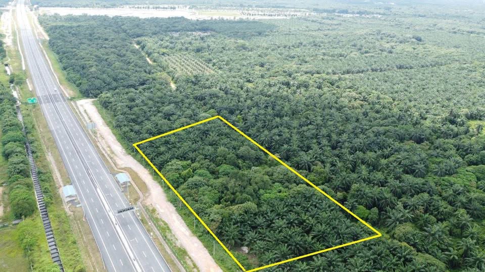 Tanah Pertanian Tanjung Dua Belas Banting Selangor