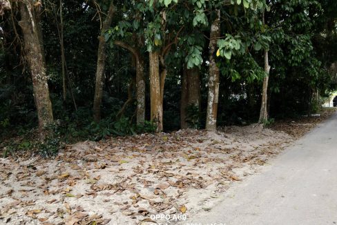 Tanah Pertanian Juasseh Kuala Pilah Negeri Sembilan