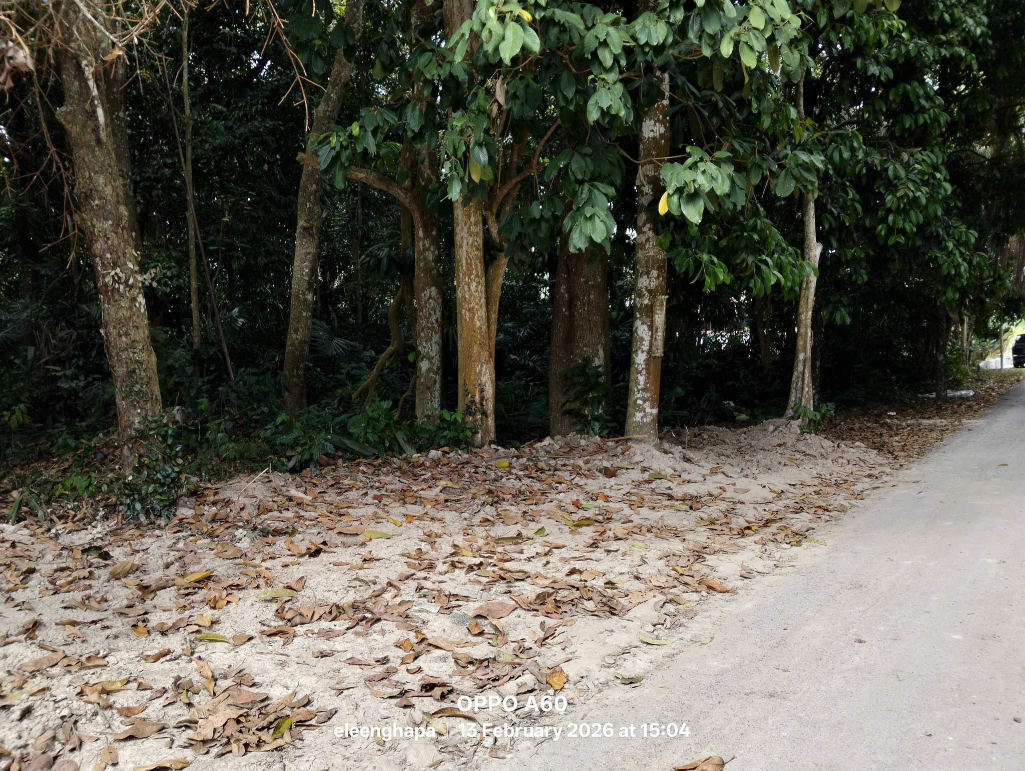 Tanah Pertanian Juasseh Kuala Pilah Negeri Sembilan
