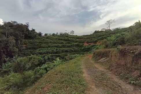 Tanah Kampung Renal Jelebu Negeri Sembilan