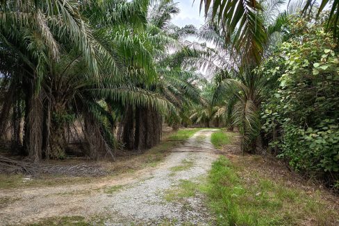Tanah Bukit Repah Batu Kikir Negeri Sembilan