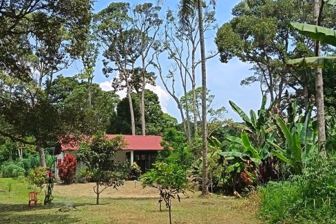 Tanah Kebun Sungai Rotan Jelebu Negeri Sembilan