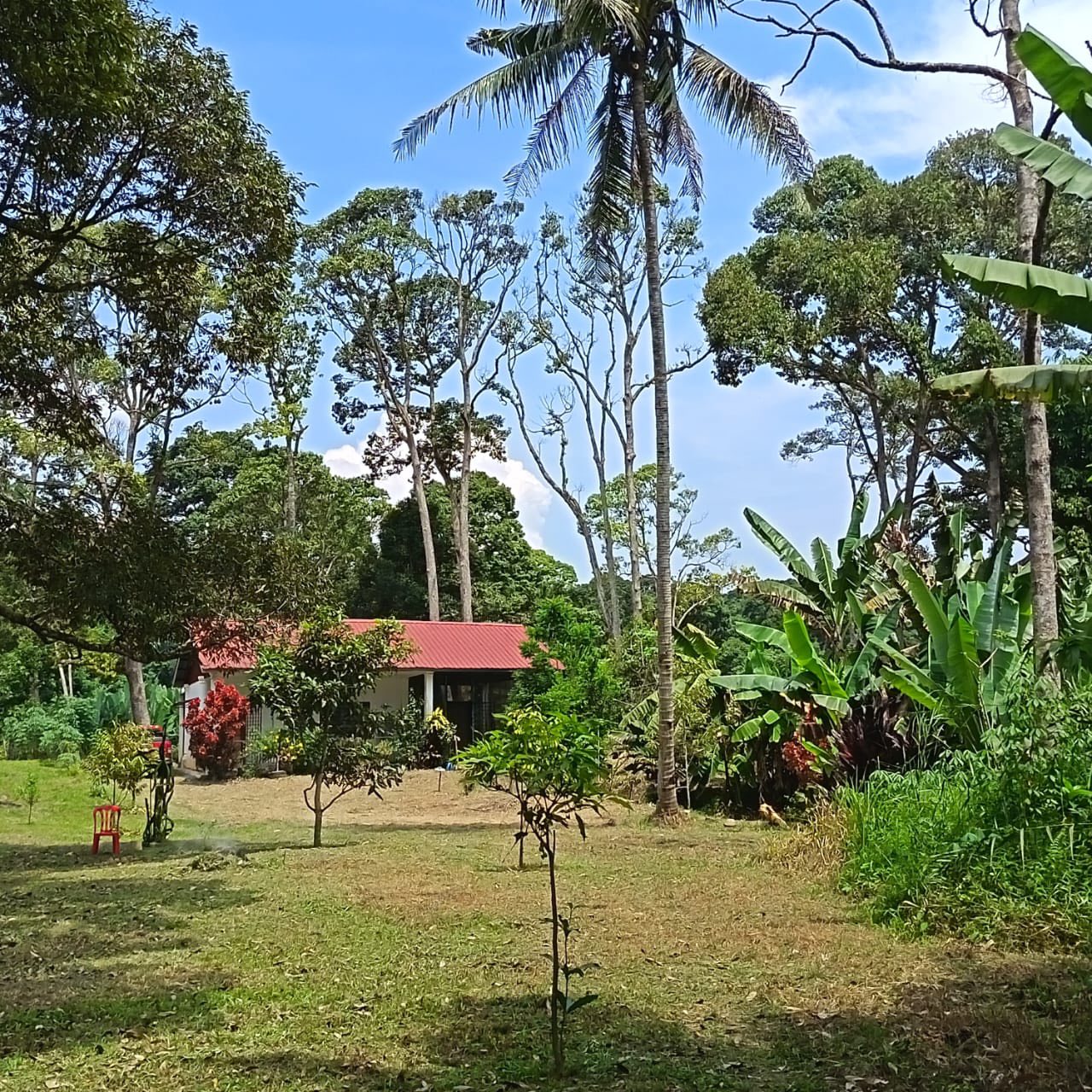 Tanah Kebun Sungai Rotan Jelebu Negeri Sembilan