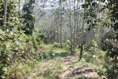 Tanah Ulu Muar Kuala Pilah Negeri Sembilan