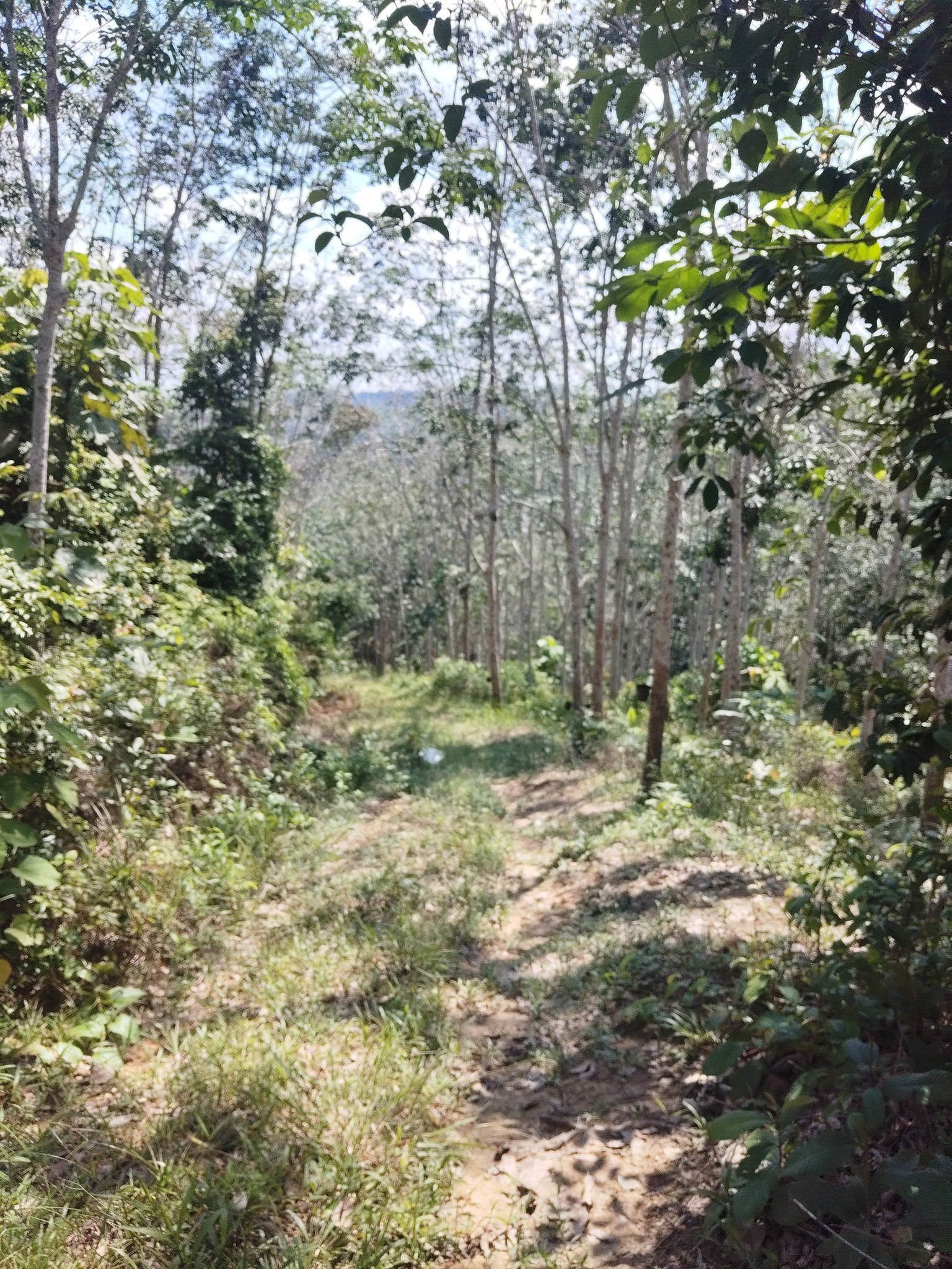 Tanah Ulu Muar Kuala Pilah Negeri Sembilan