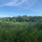 Agriculture land Sungai Bioh Lenggeng Seremban Negeri Sembilan