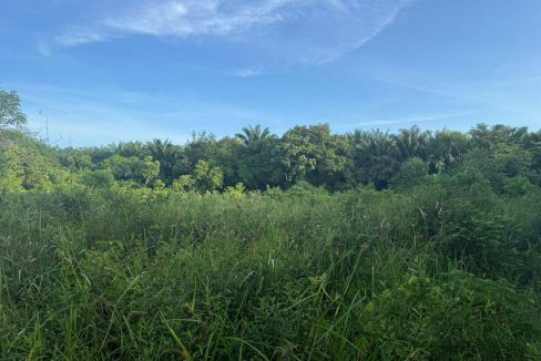 Agriculture land Sungai Bioh Lenggeng Seremban Negeri Sembilan