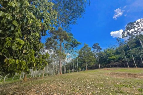 Tanah Kampung Kuala Pilah Negeri Sembilan