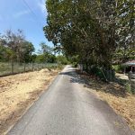 Tanah Pertanian Kampung Gaing Pedas Rembau Negeri Sembilan