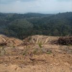 Tanah Pertanian Jelebu Negeri Sembilan