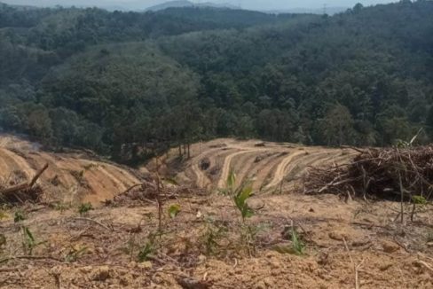 Tanah Pertanian Jelebu Negeri Sembilan