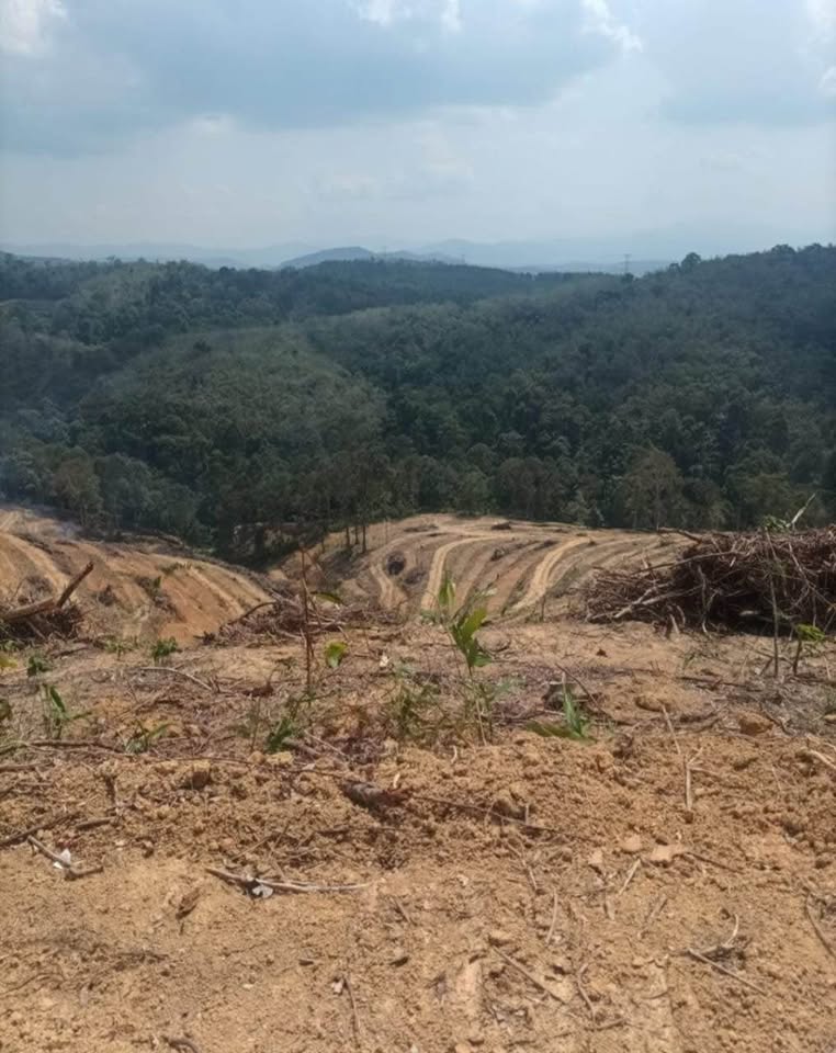 Tanah Pertanian Jelebu Negeri Sembilan