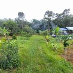 Kampung Celogeh Ulu Beranang