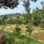 Tanah Kuala Kubu Bharu